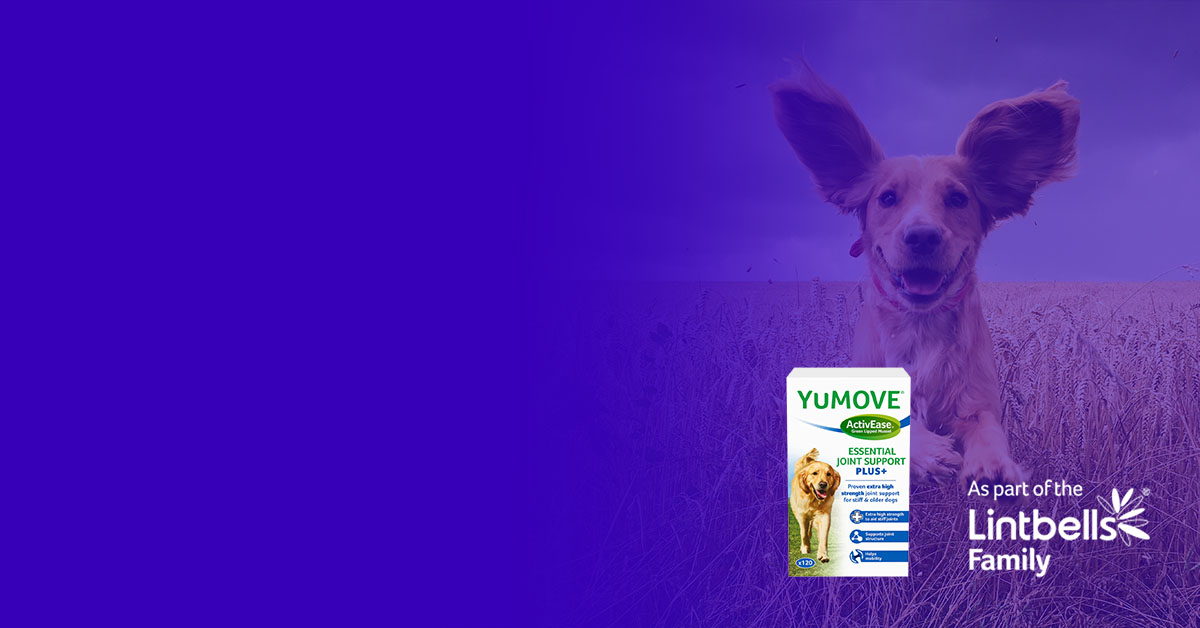 Anaplan and Bedford Consulting enable efficient Demand Forecasting at Lintbells – Home of YuMOVE